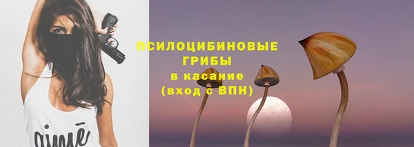 МДПВ Абаза