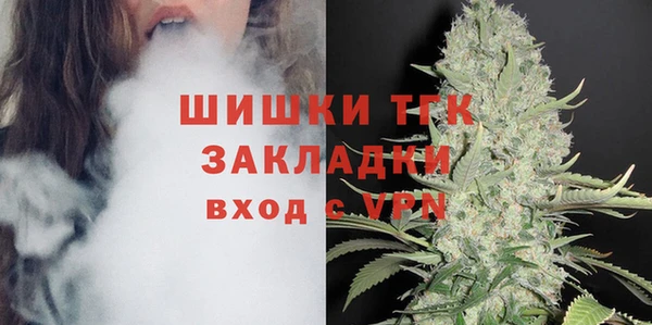 МДПВ Абаза