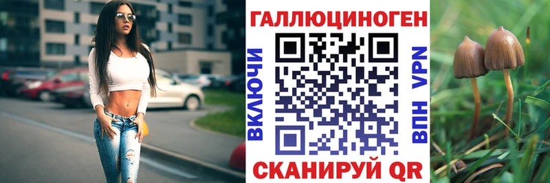 что такое Зеленогорск Псилоцибиновые грибы ЛСД